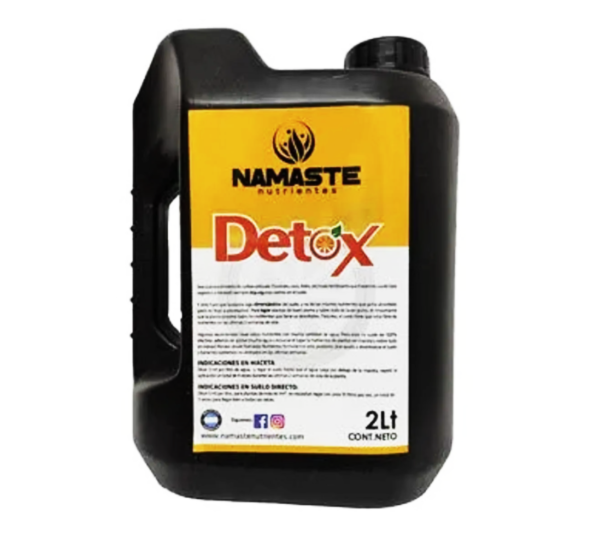 Detox - Imagen 2