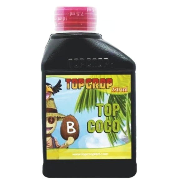 Top Crop coco B