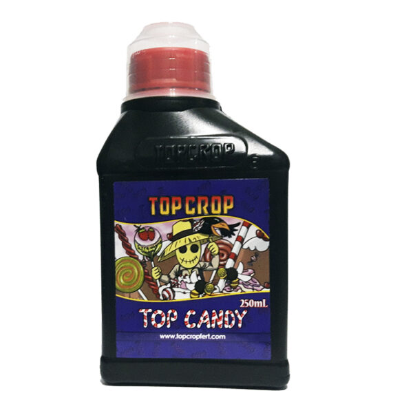 Top Candy