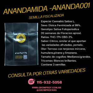 Semillas Anandamina Ananda001